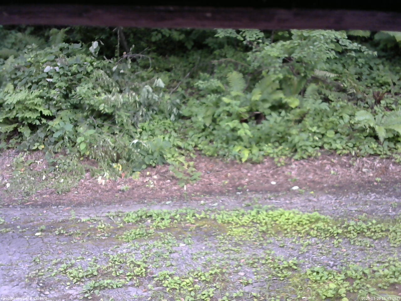 長野県菅平高原 ゆたか山荘 南側 2025/07/29 15:45