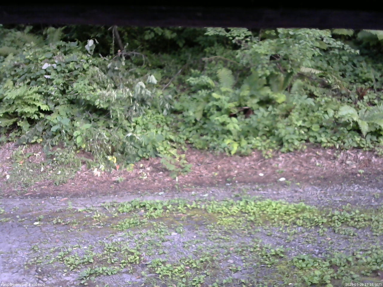 長野県菅平高原 ゆたか山荘 南側 2025/07/29 17:15