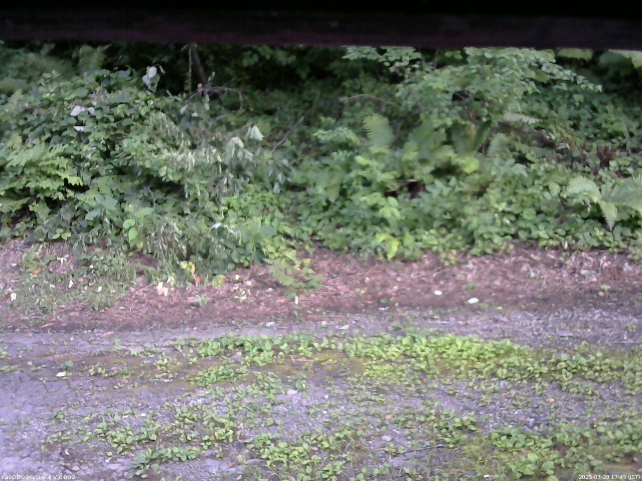長野県菅平高原 ゆたか山荘 南側 2025/07/29 17:45