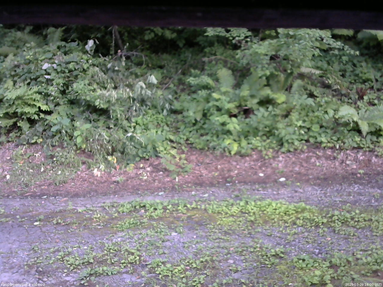 長野県菅平高原 ゆたか山荘 南側 2025/07/29 18:00
