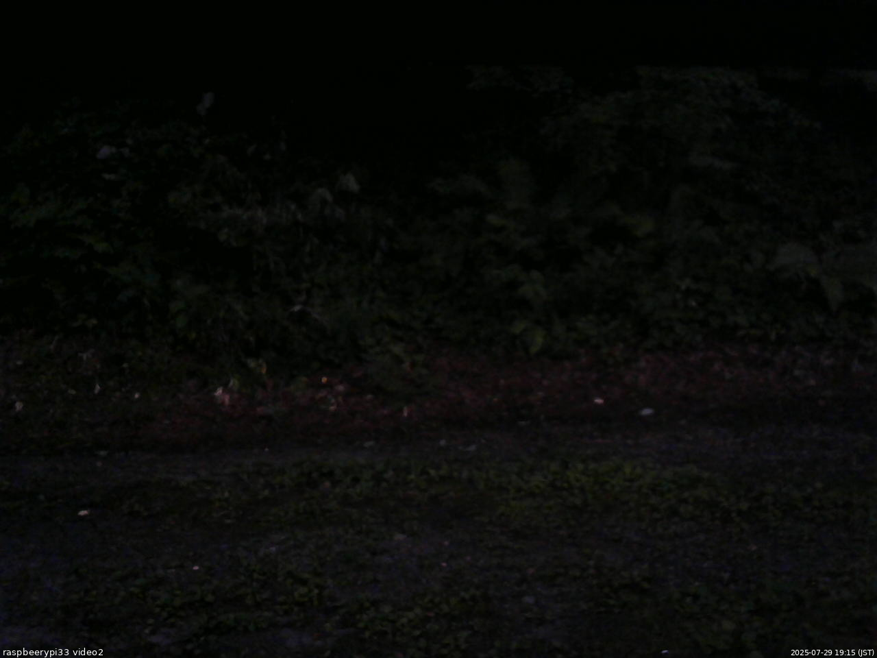 長野県菅平高原 ゆたか山荘 南側 2025/07/29 19:15