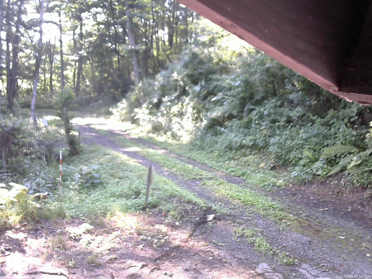 長野県菅平高原 ゆたか山荘 東側(坂下) 2025/07/29 07:15