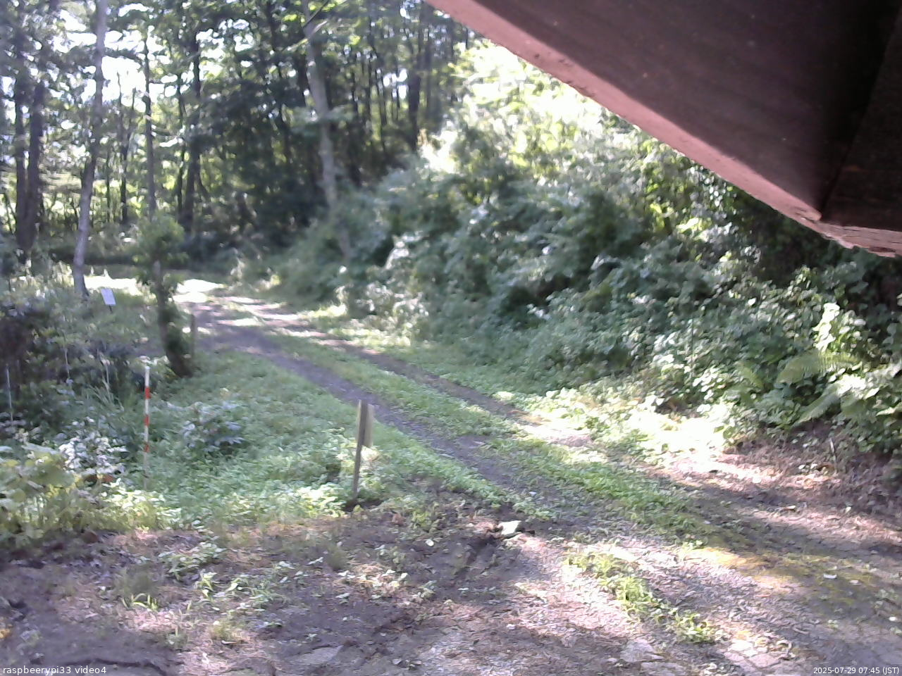 長野県菅平高原 ゆたか山荘 東側(坂下) 2025/07/29 07:45