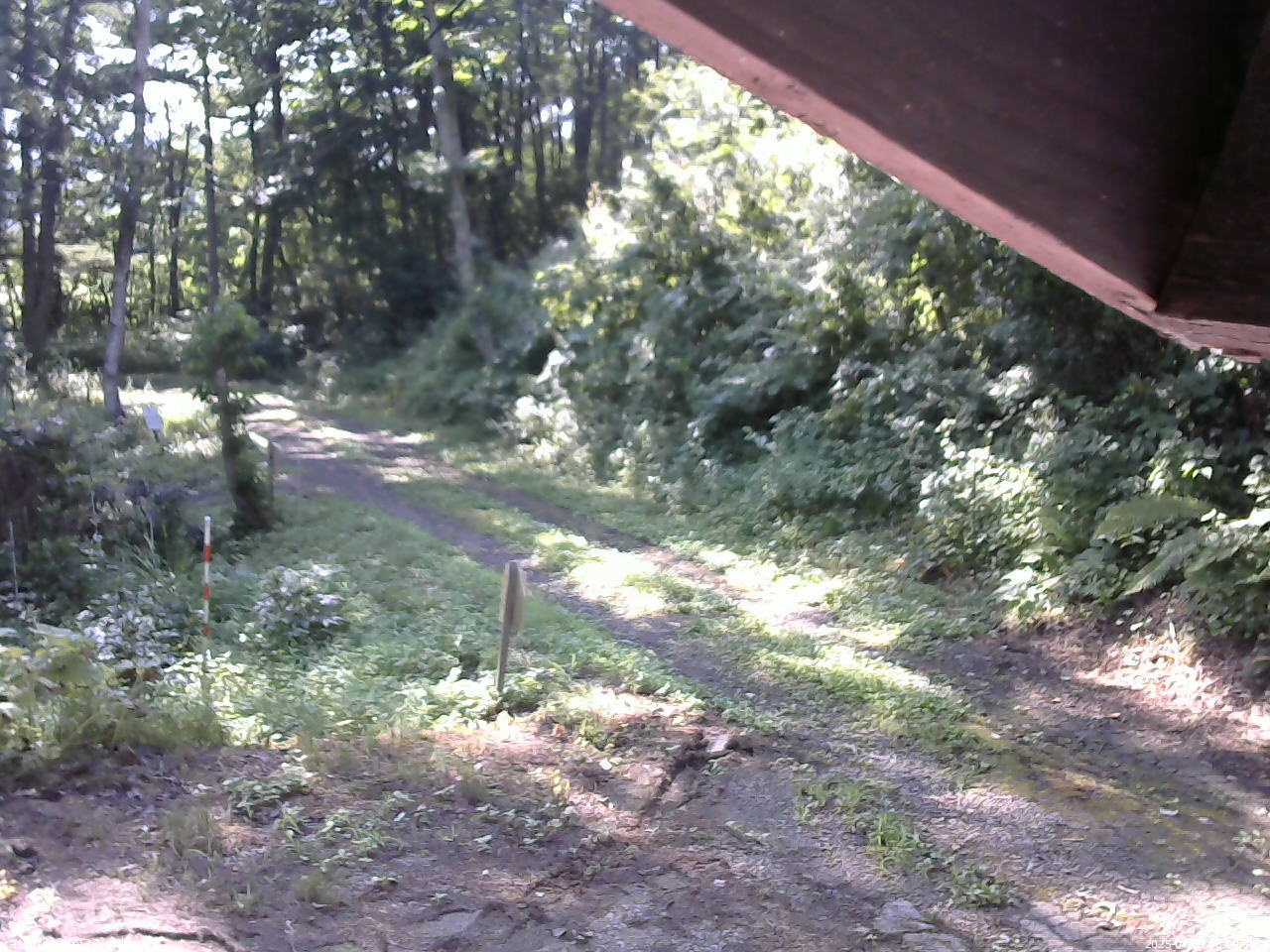 長野県菅平高原 ゆたか山荘 東側(坂下) 2025/07/29 08:00