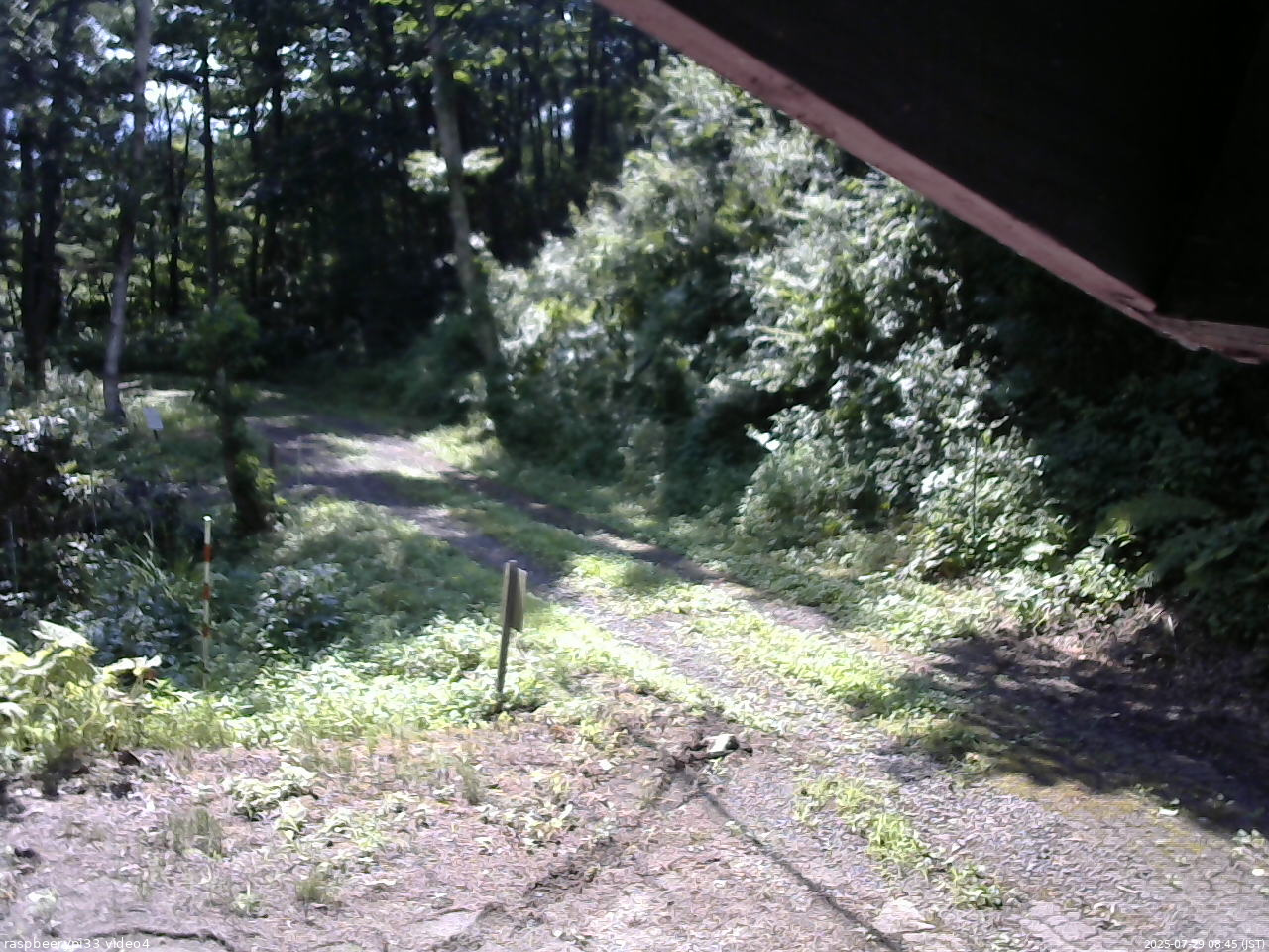 長野県菅平高原 ゆたか山荘 東側(坂下) 2025/07/29 08:45