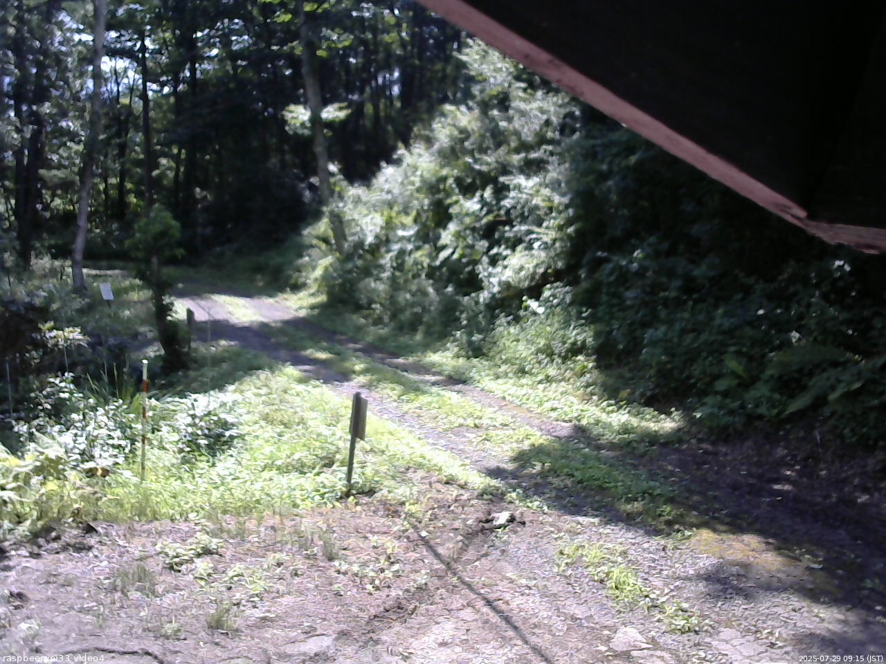 長野県菅平高原 ゆたか山荘 東側(坂下) 2025/07/29 09:15
