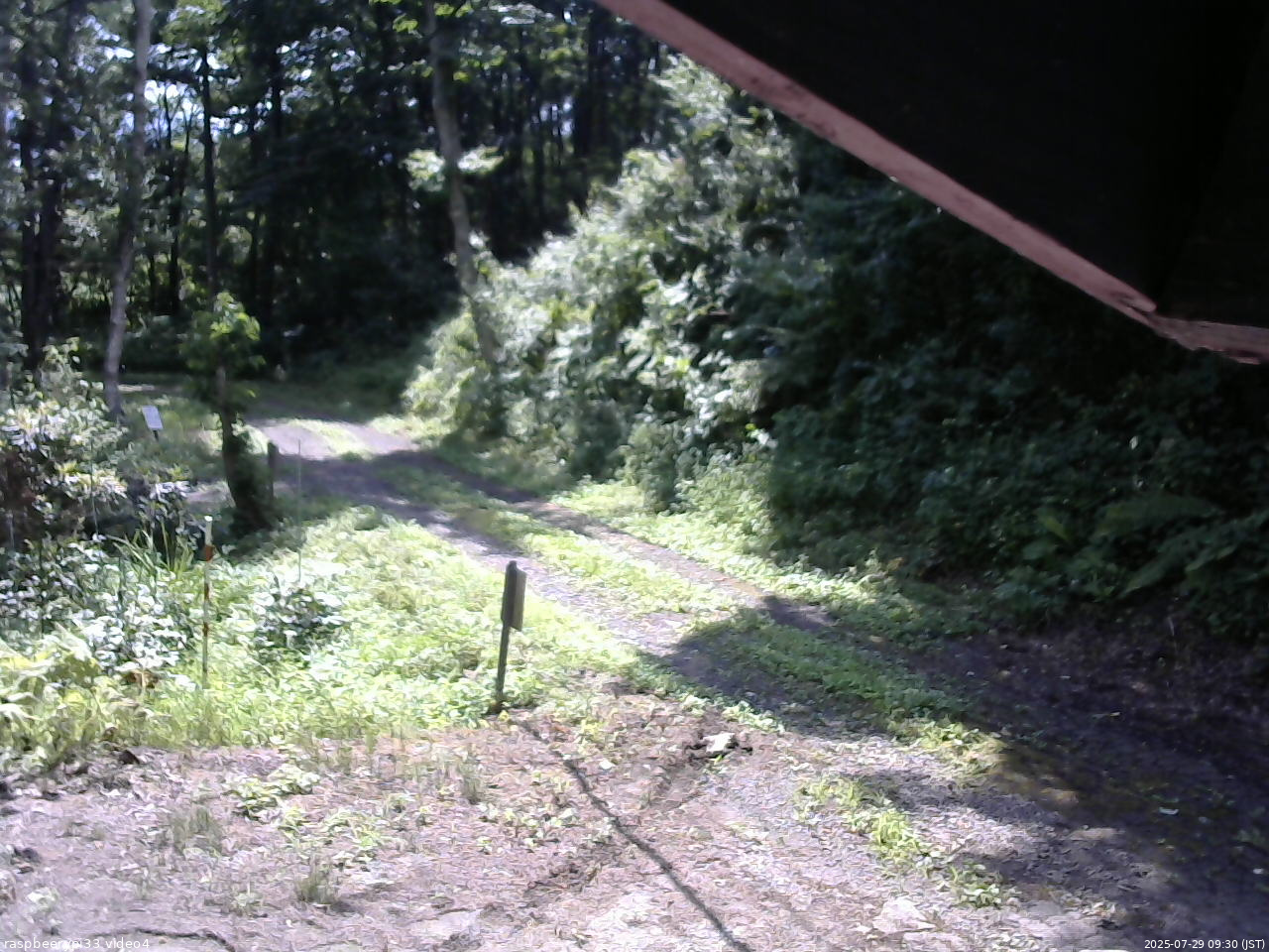 長野県菅平高原 ゆたか山荘 東側(坂下) 2025/07/29 09:30
