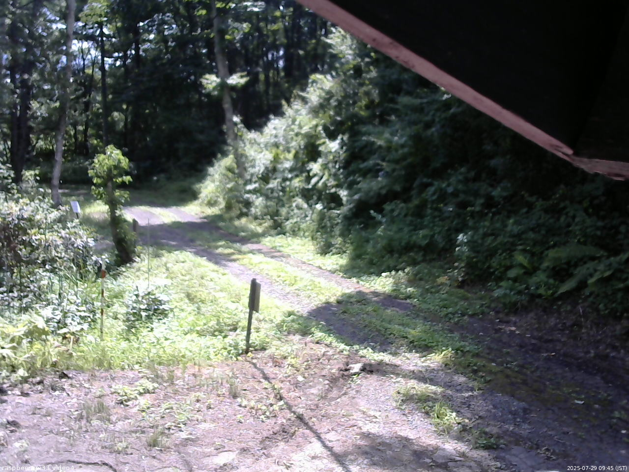 長野県菅平高原 ゆたか山荘 東側(坂下) 2025/07/29 09:45