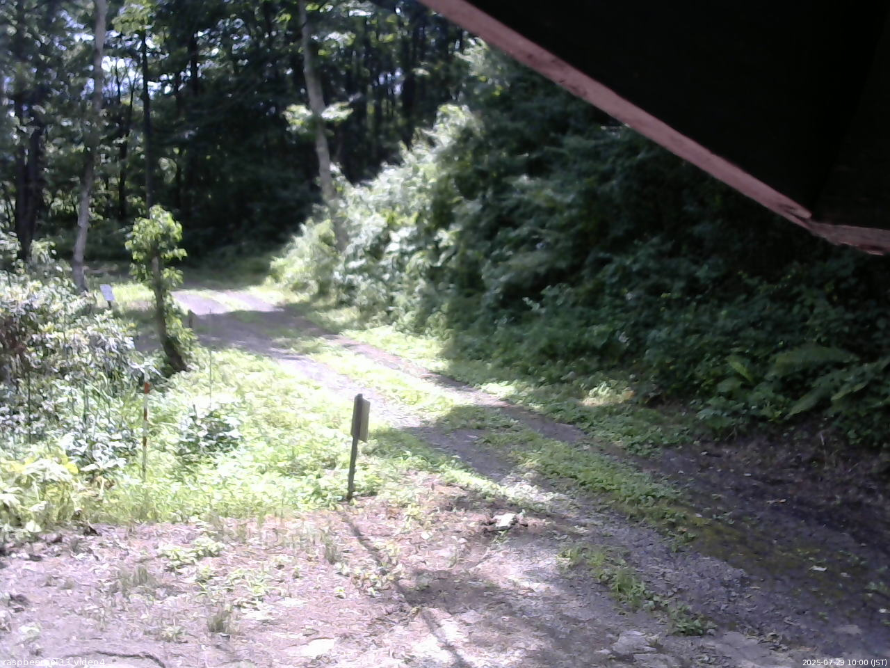 長野県菅平高原 ゆたか山荘 東側(坂下) 2025/07/29 10:00