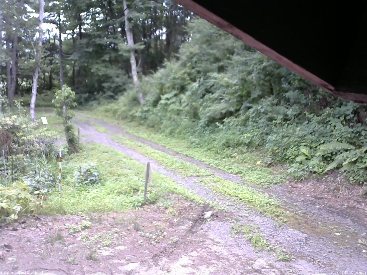 長野県菅平高原 ゆたか山荘 東側(坂下) 2025/07/29 10:15