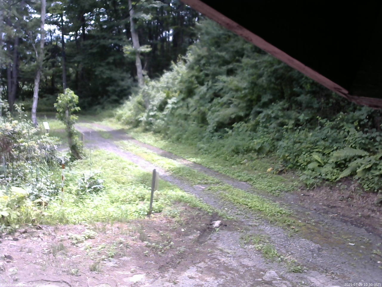 長野県菅平高原 ゆたか山荘 東側(坂下) 2025/07/29 10:30