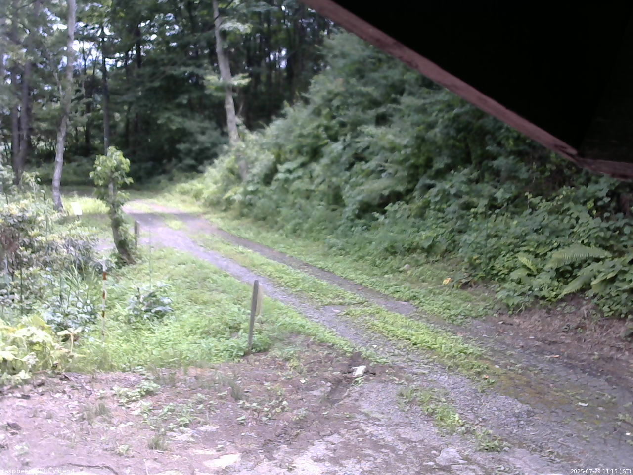 長野県菅平高原 ゆたか山荘 東側(坂下) 2025/07/29 11:15