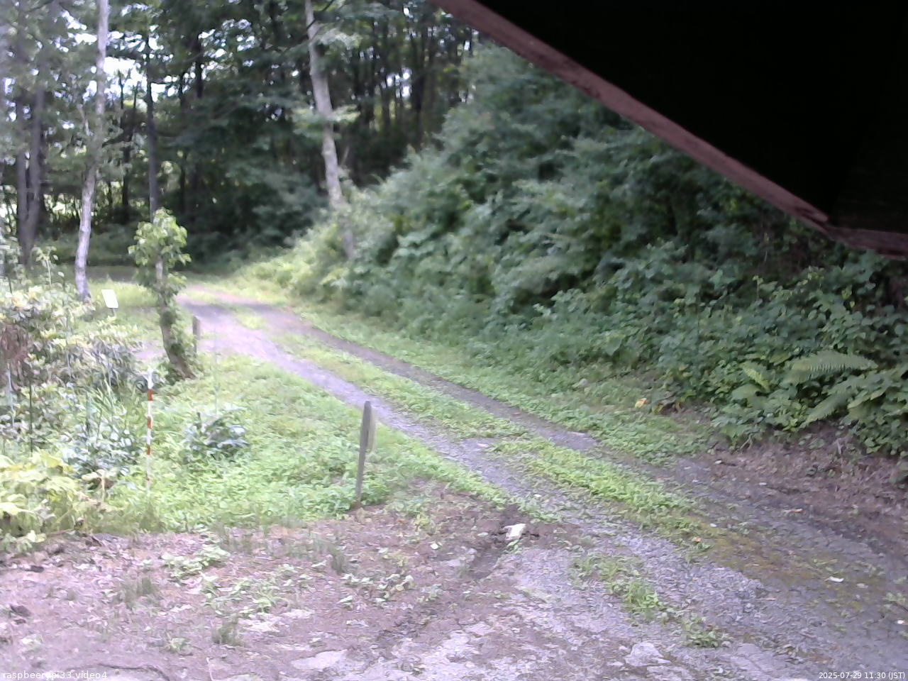 長野県菅平高原 ゆたか山荘 東側(坂下) 2025/07/29 11:30