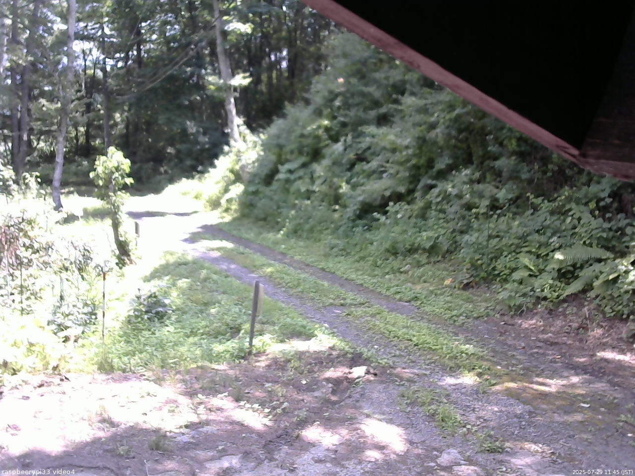 長野県菅平高原 ゆたか山荘 東側(坂下) 2025/07/29 11:45