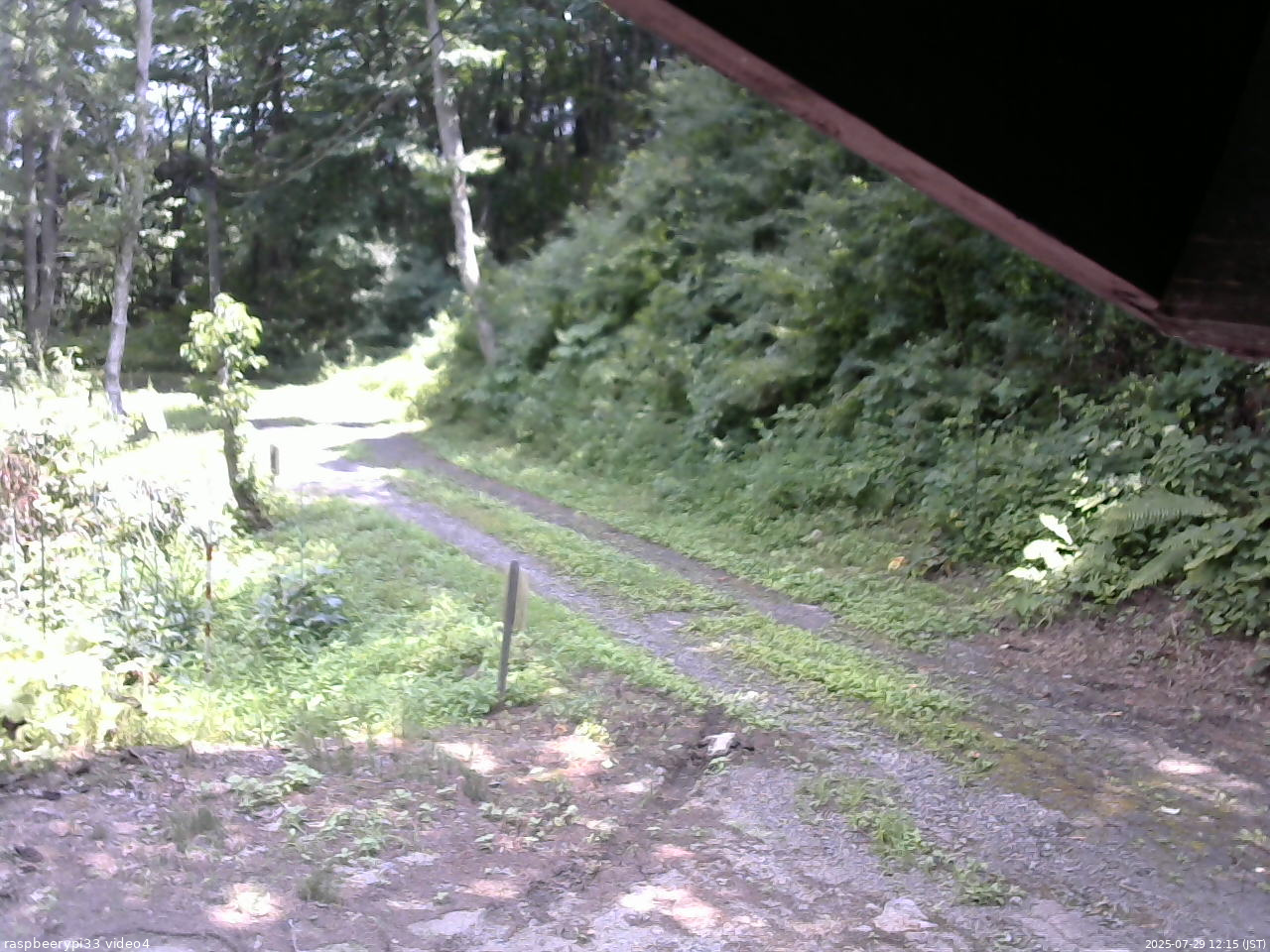長野県菅平高原 ゆたか山荘 東側(坂下) 2025/07/29 12:15