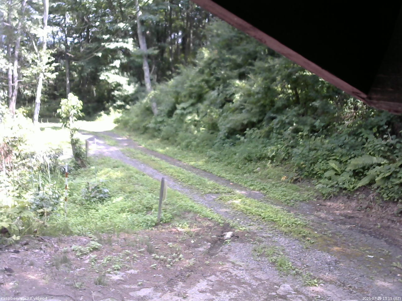 長野県菅平高原 ゆたか山荘 東側(坂下) 2025/07/29 13:15
