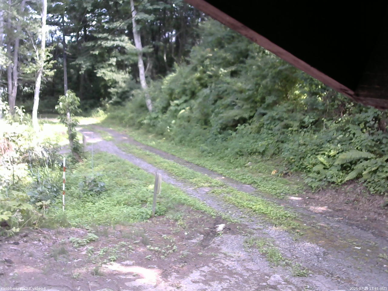 長野県菅平高原 ゆたか山荘 東側(坂下) 2025/07/29 13:45