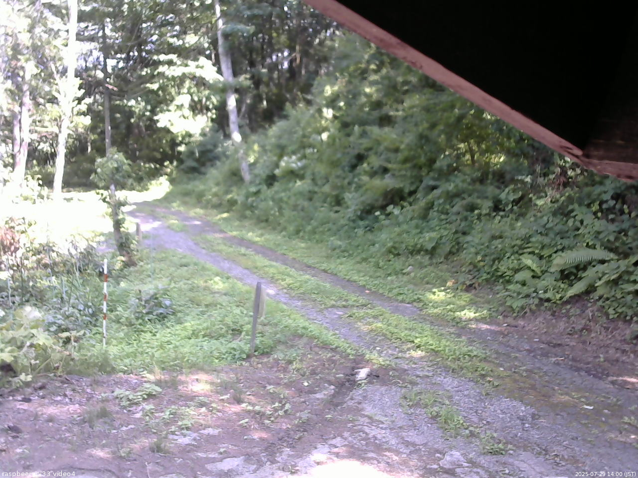 長野県菅平高原 ゆたか山荘 東側(坂下) 2025/07/29 14:00