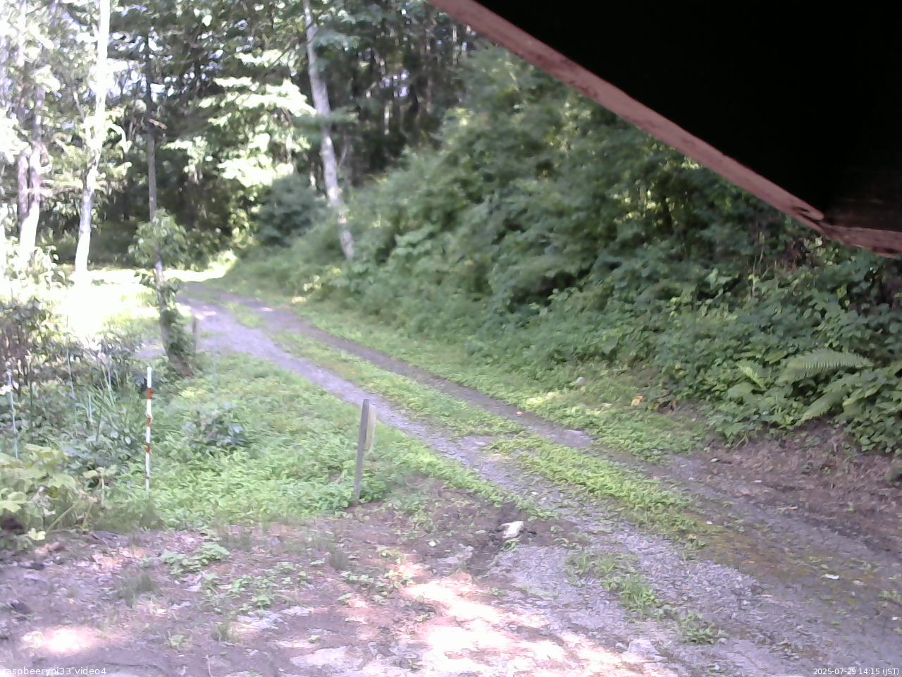 長野県菅平高原 ゆたか山荘 東側(坂下) 2025/07/29 14:15