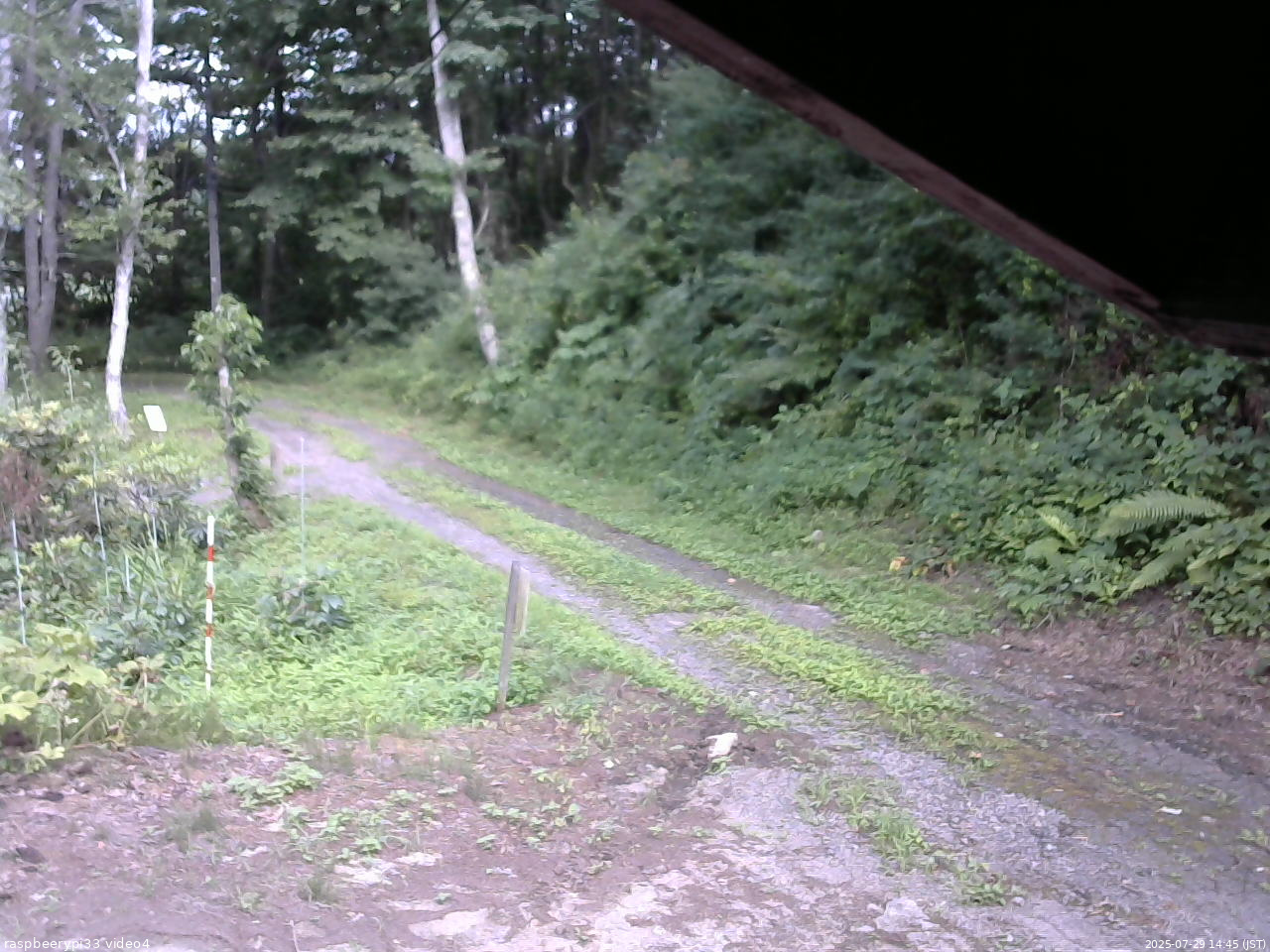 長野県菅平高原 ゆたか山荘 東側(坂下) 2025/07/29 14:45