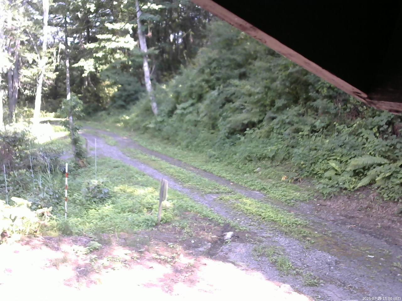 長野県菅平高原 ゆたか山荘 東側(坂下) 2025/07/29 15:00
