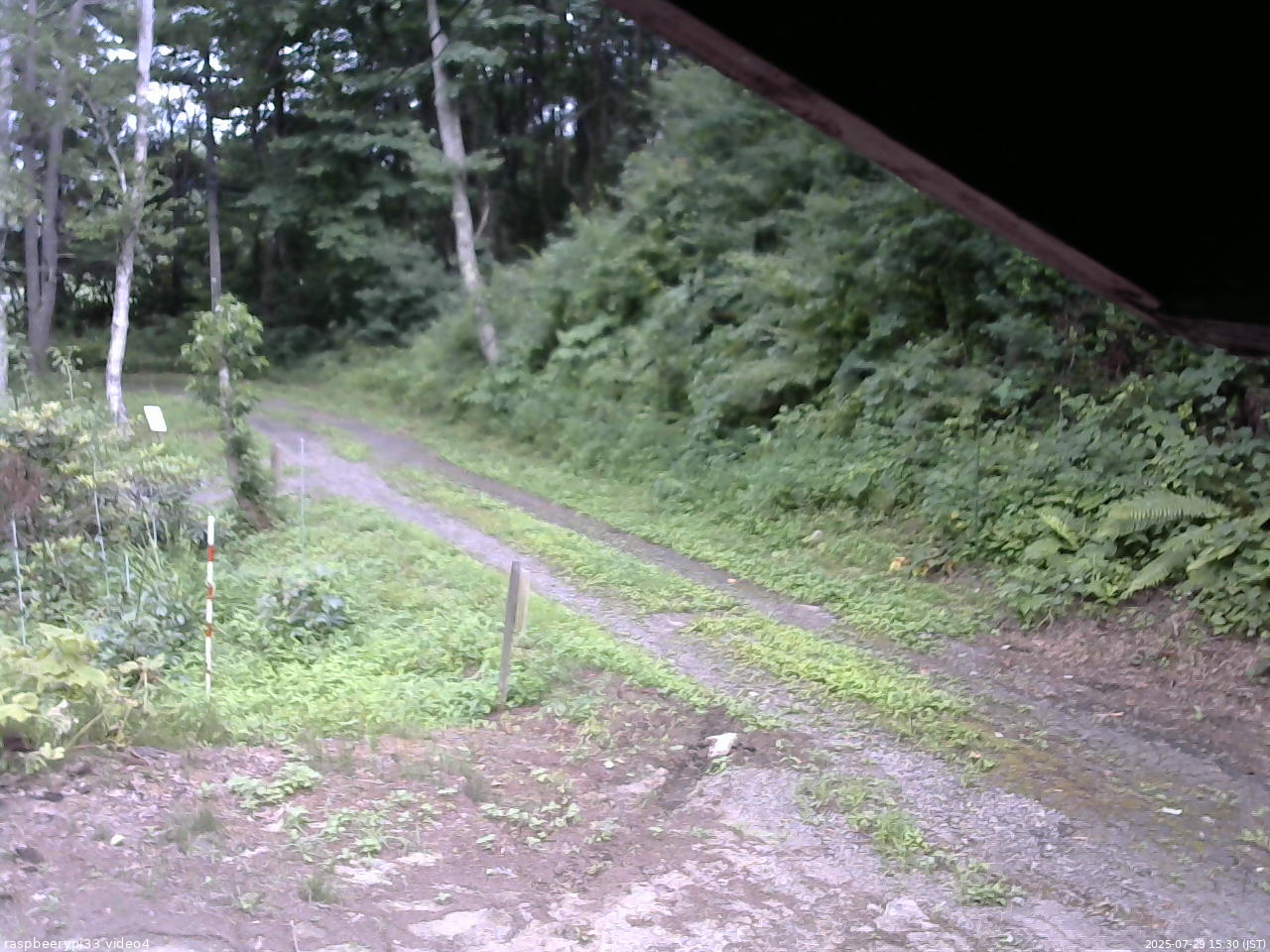 長野県菅平高原 ゆたか山荘 東側(坂下) 2025/07/29 15:30