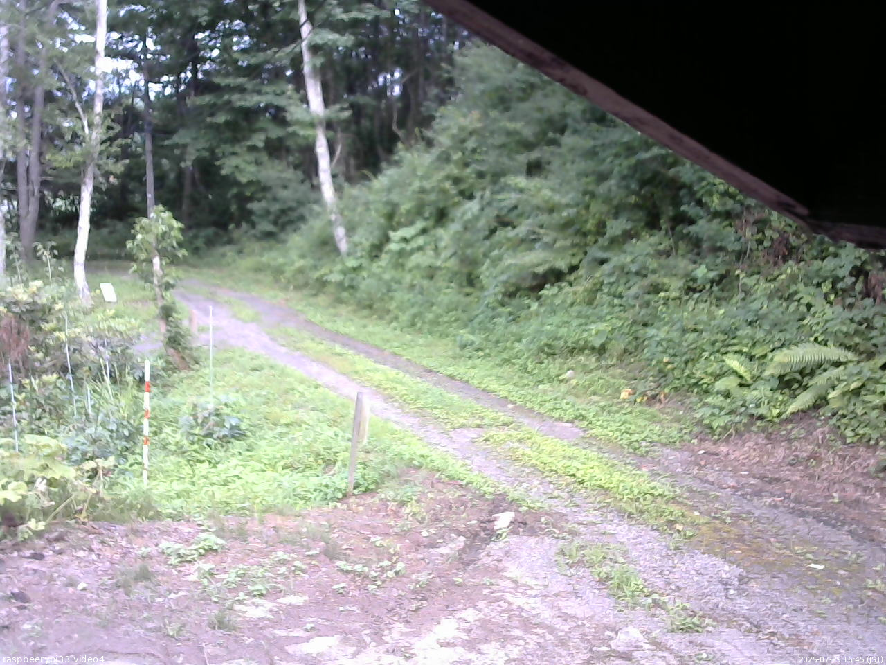 長野県菅平高原 ゆたか山荘 東側(坂下) 2025/07/29 16:45