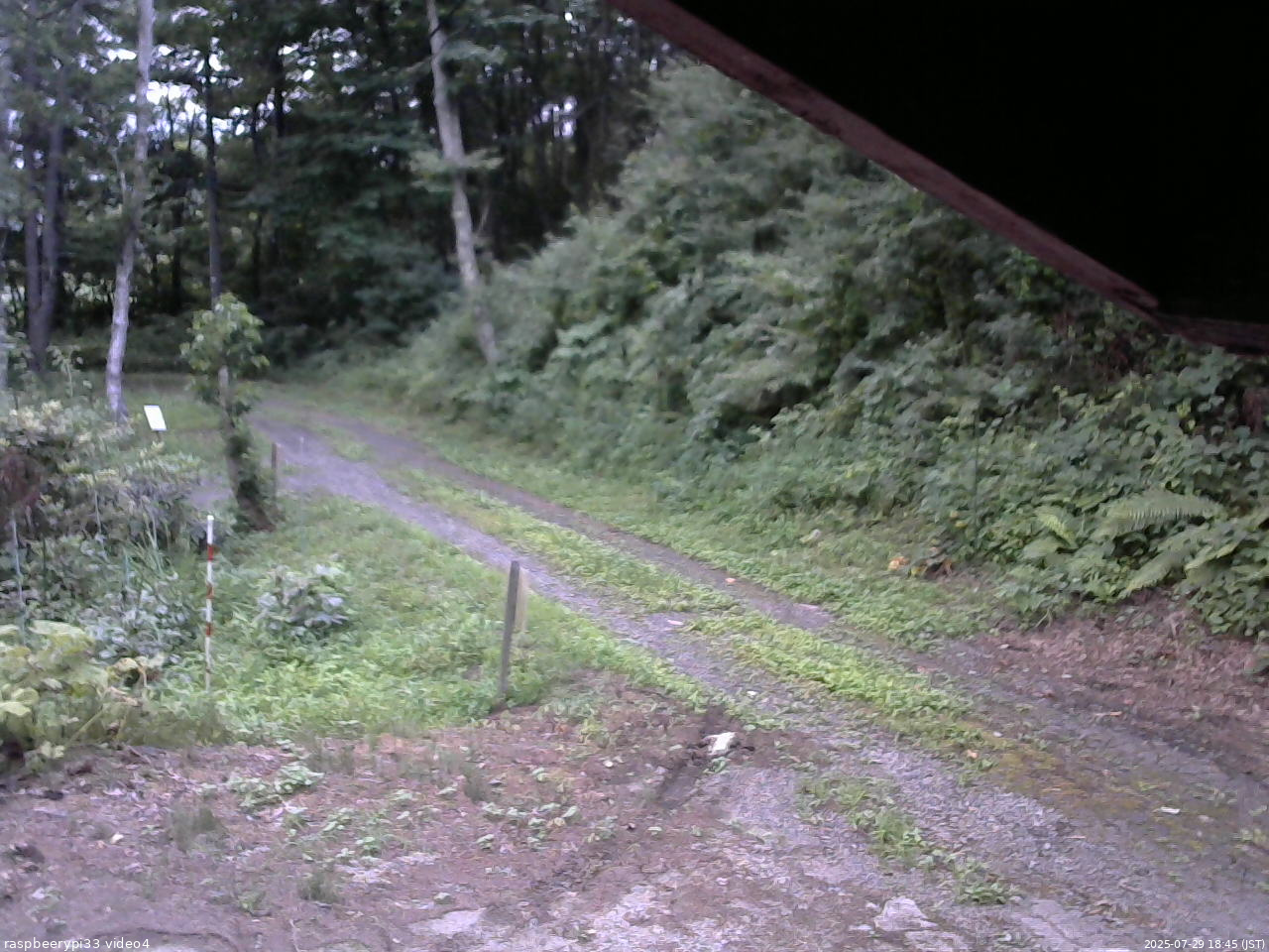 長野県菅平高原 ゆたか山荘 東側(坂下) 2025/07/29 18:45