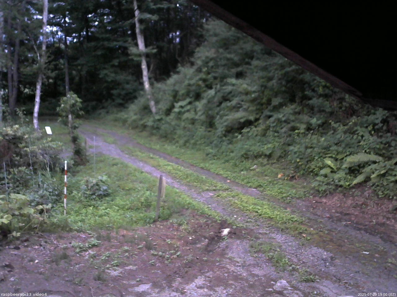 長野県菅平高原 ゆたか山荘 東側(坂下) 2025/07/29 19:00