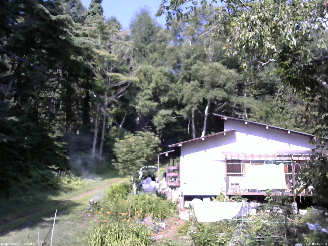 長野県菅平高原 ゆたか山荘 西側(坂上) 2025/07/29 08:45