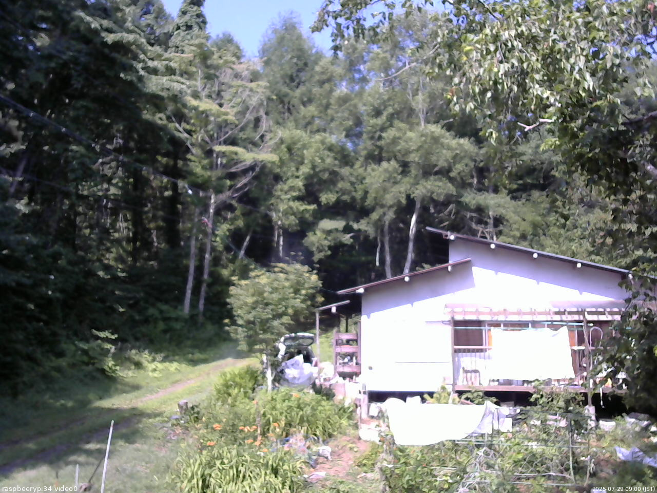長野県菅平高原 ゆたか山荘 西側(坂上) 2025/07/29 09:00