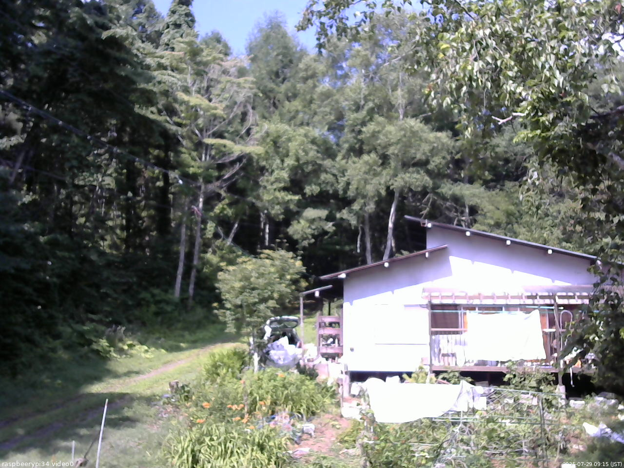 長野県菅平高原 ゆたか山荘 西側(坂上) 2025/07/29 09:15