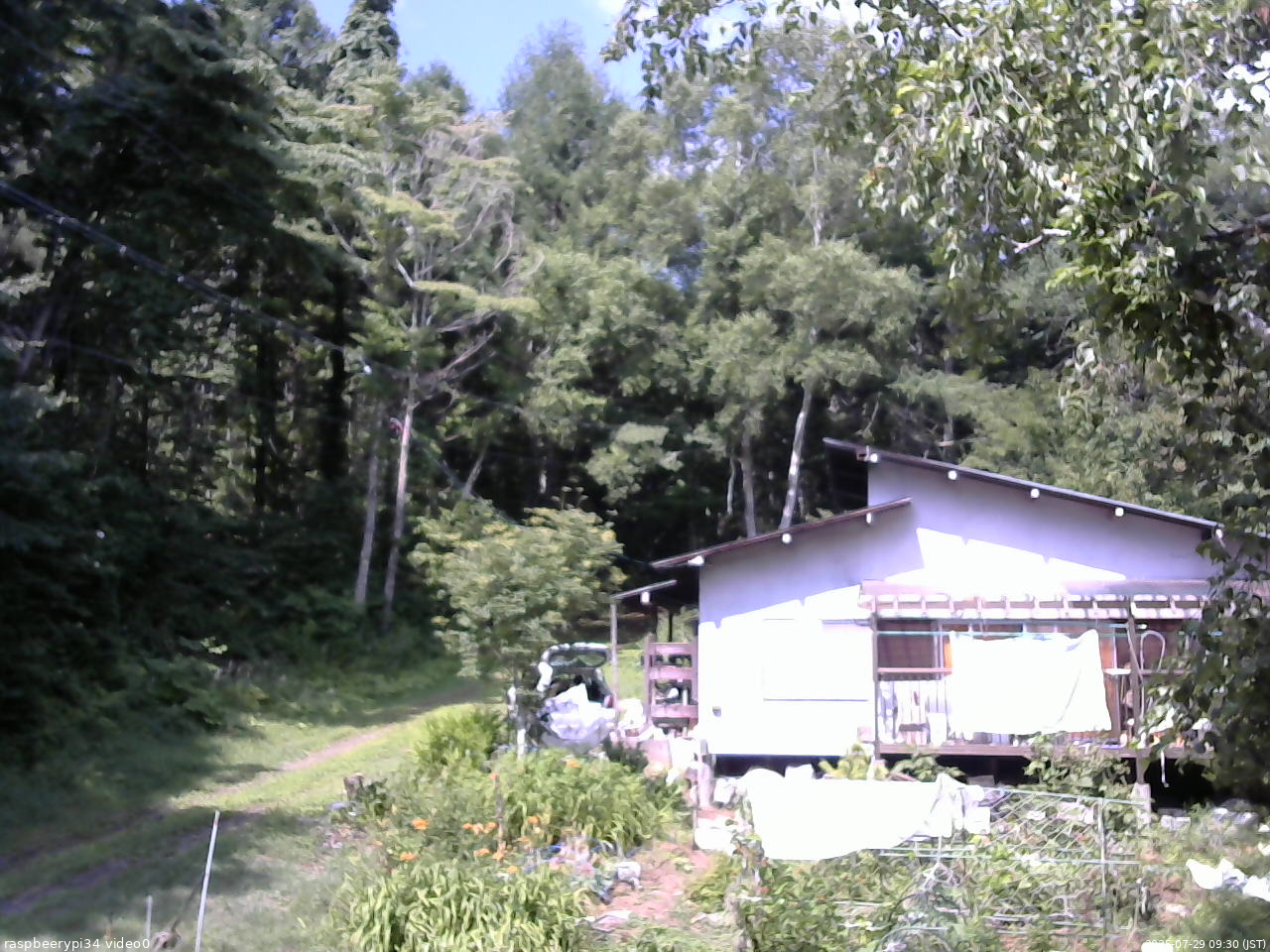 長野県菅平高原 ゆたか山荘 西側(坂上) 2025/07/29 09:30