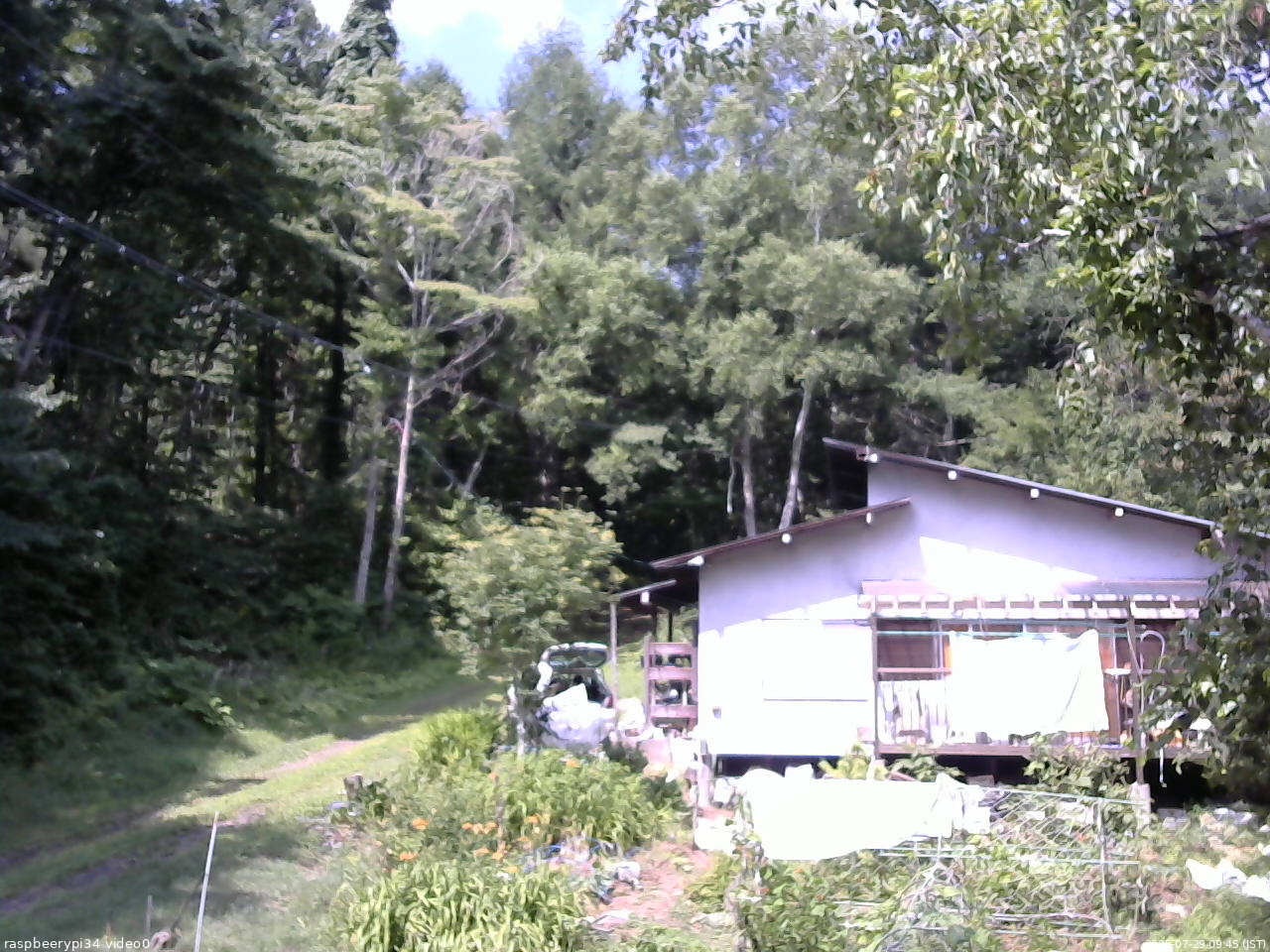 長野県菅平高原 ゆたか山荘 西側(坂上) 2025/07/29 09:45