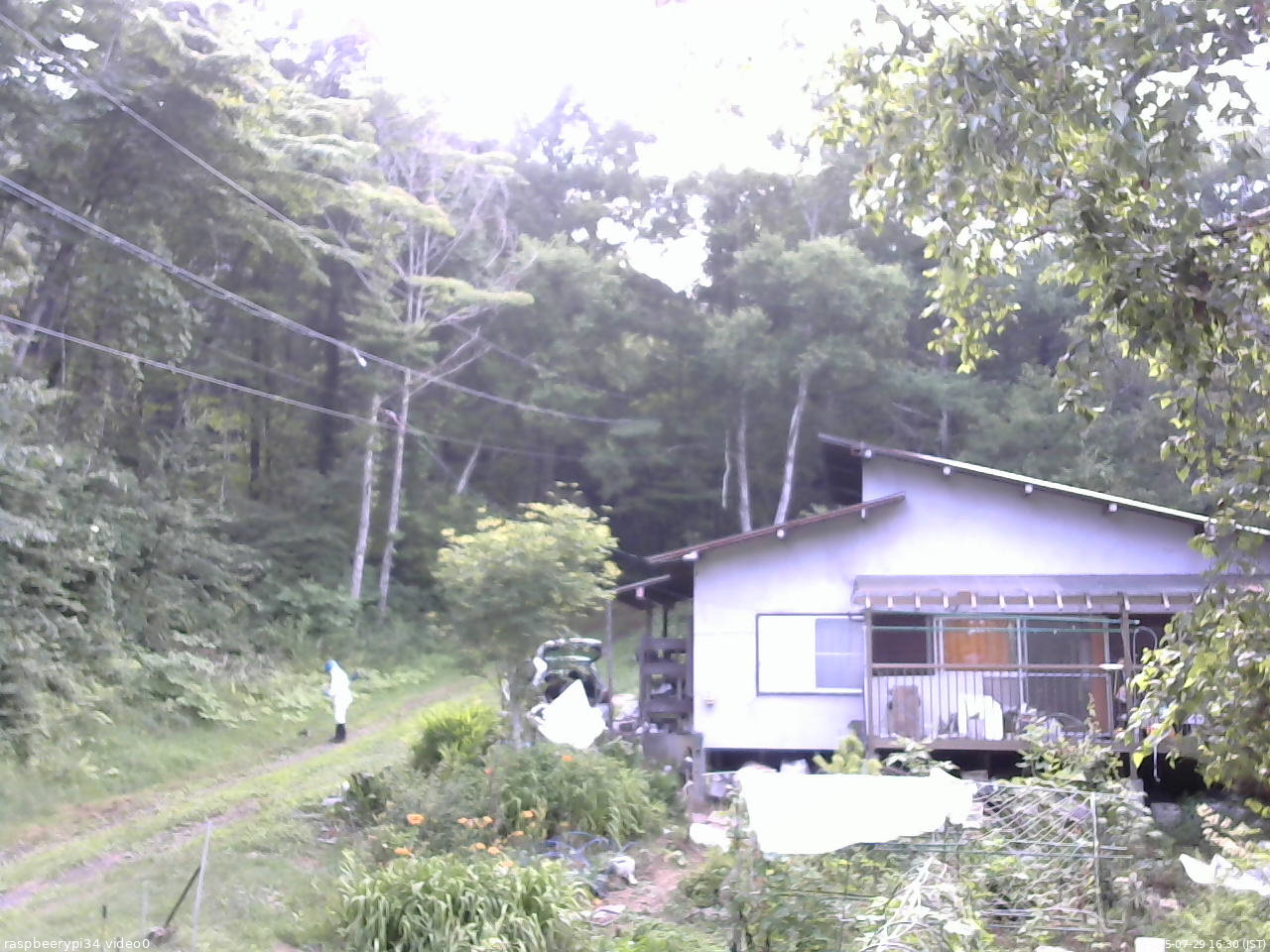 長野県菅平高原 ゆたか山荘 西側(坂上) 2025/07/29 16:30