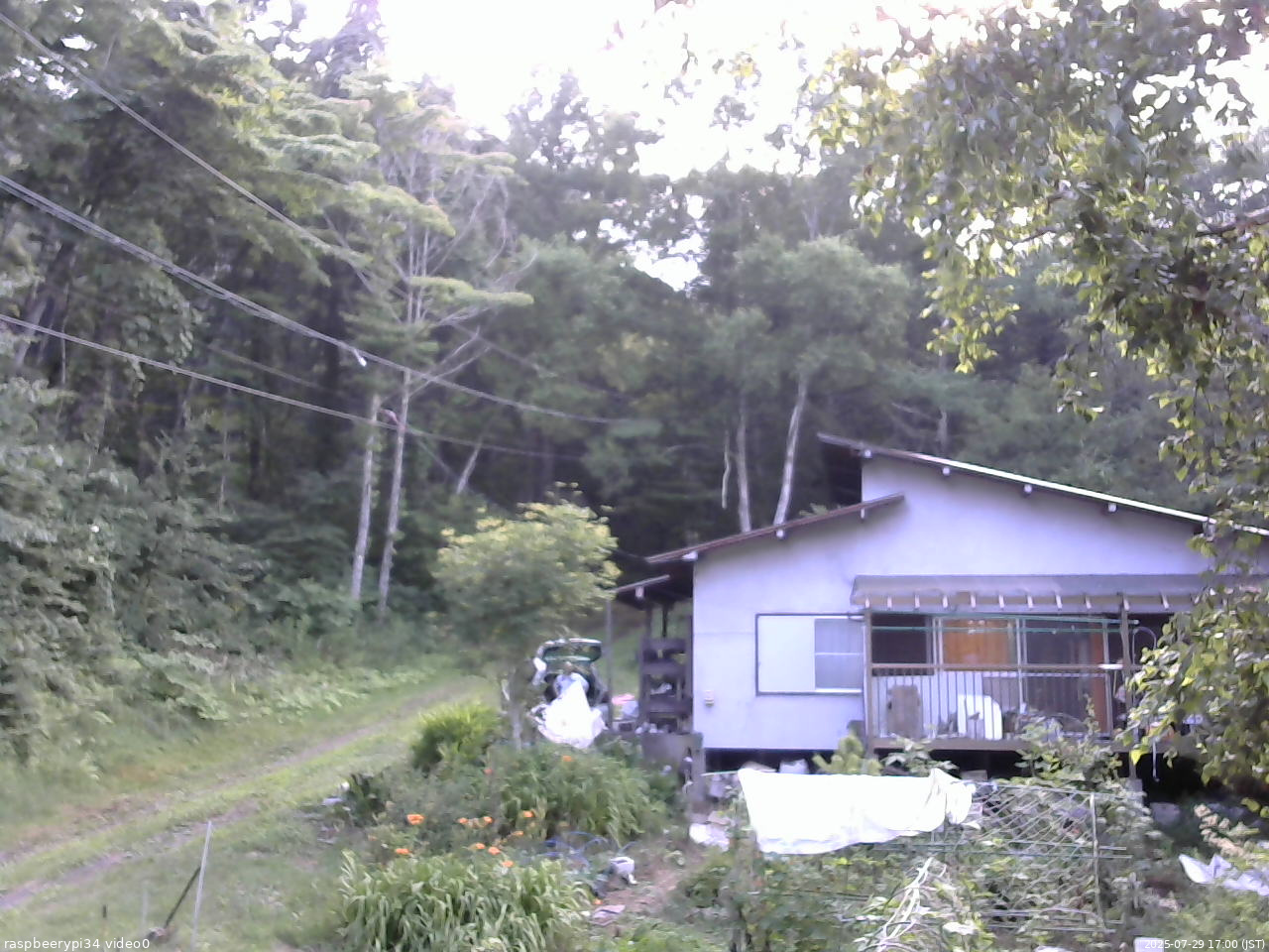 長野県菅平高原 ゆたか山荘 西側(坂上) 2025/07/29 17:00