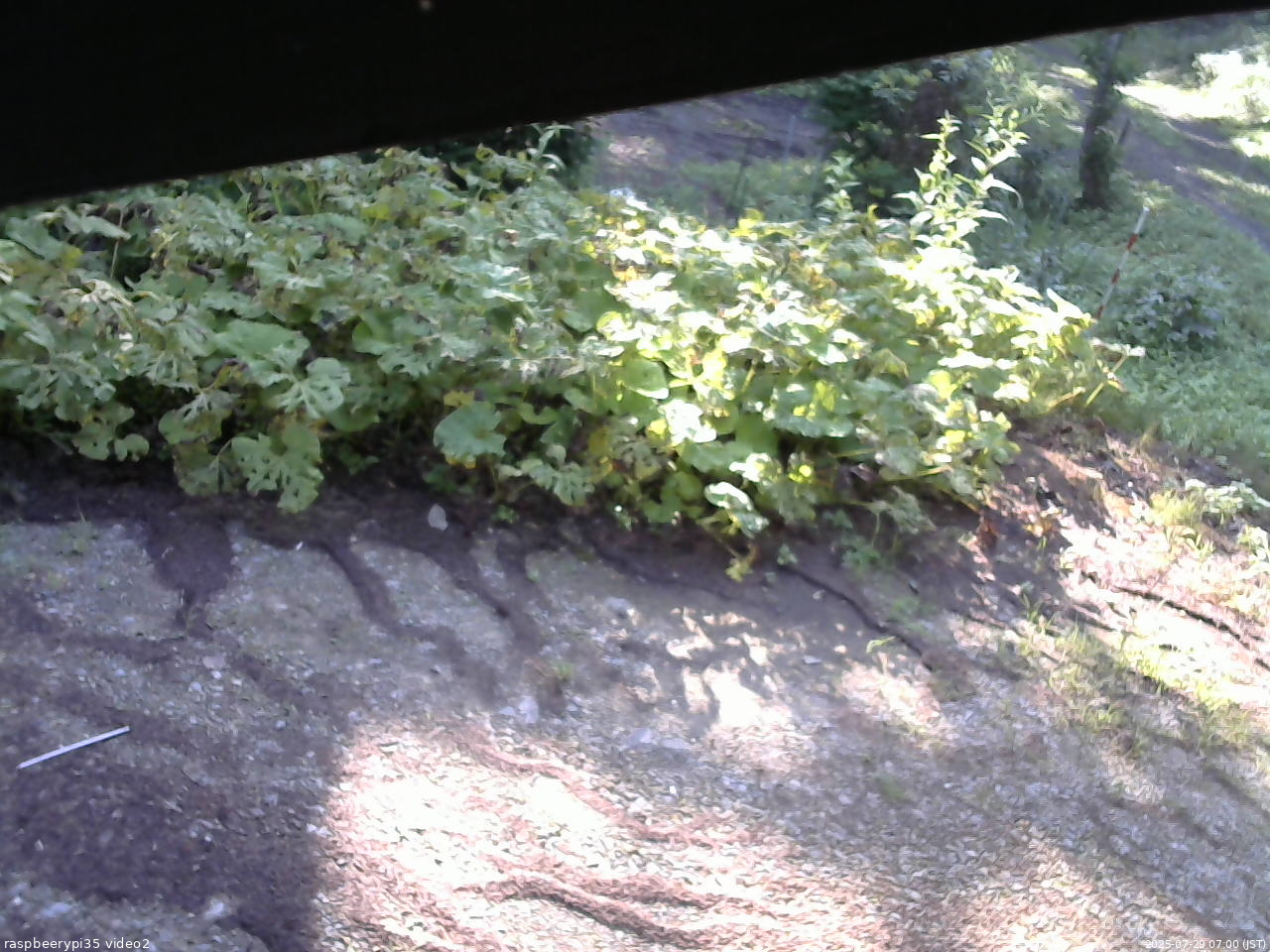 長野県菅平高原 ゆたか山荘 駐車場 2025/07/29 07:00