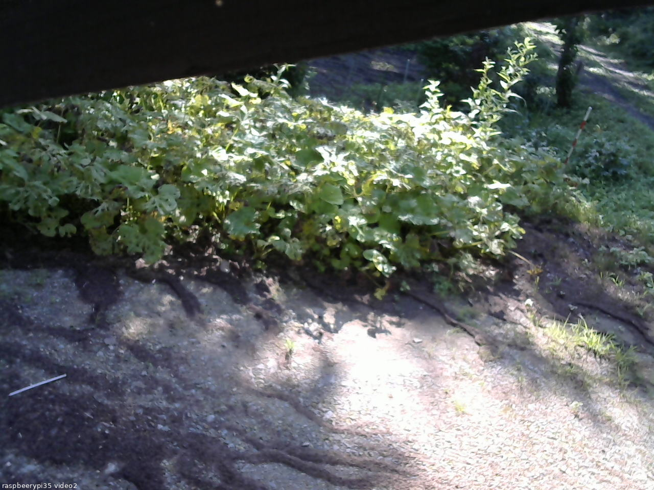 長野県菅平高原 ゆたか山荘 駐車場 2025/07/29 07:45