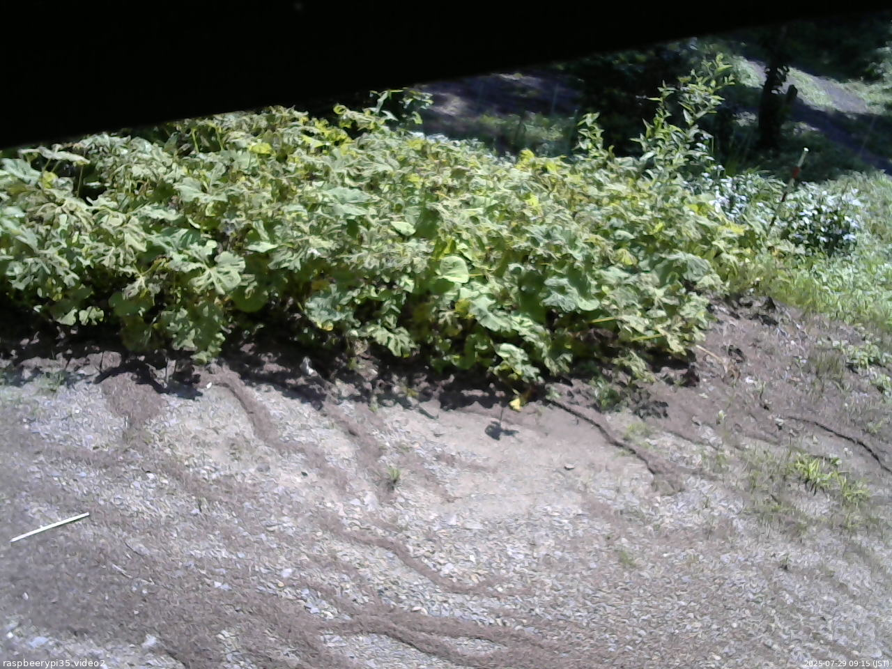 長野県菅平高原 ゆたか山荘 駐車場 2025/07/29 09:15