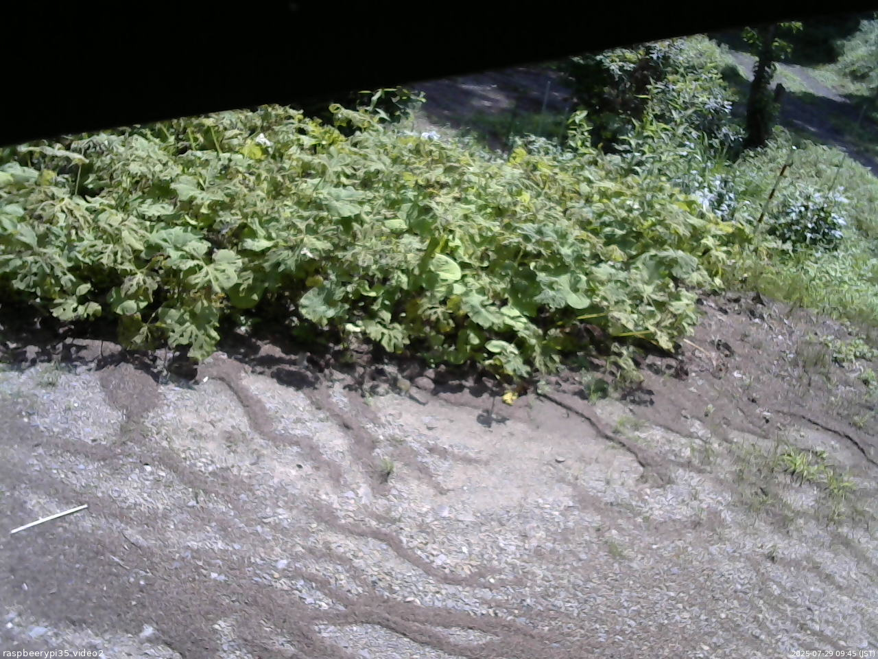 長野県菅平高原 ゆたか山荘 駐車場 2025/07/29 09:45