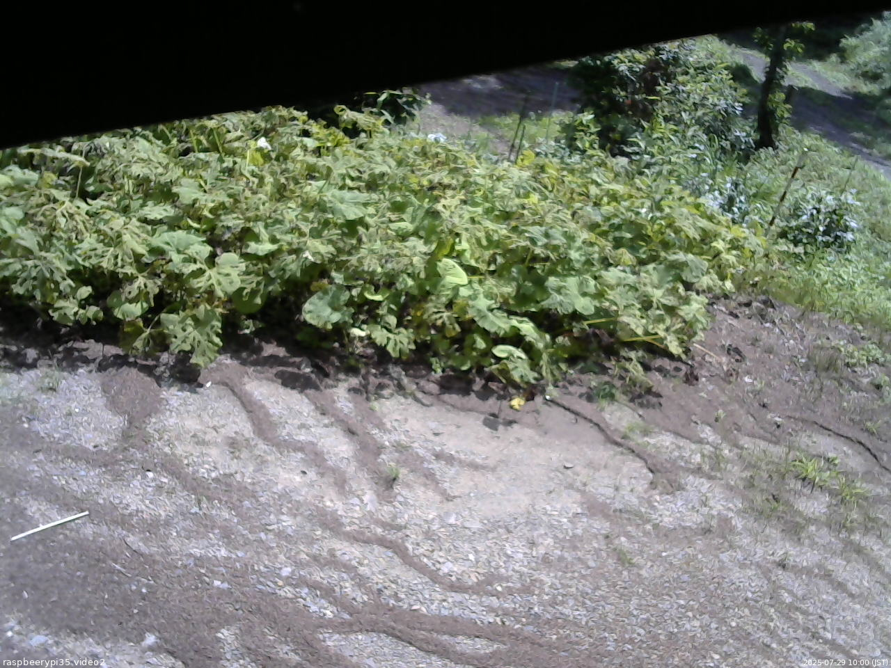 長野県菅平高原 ゆたか山荘 駐車場 2025/07/29 10:00