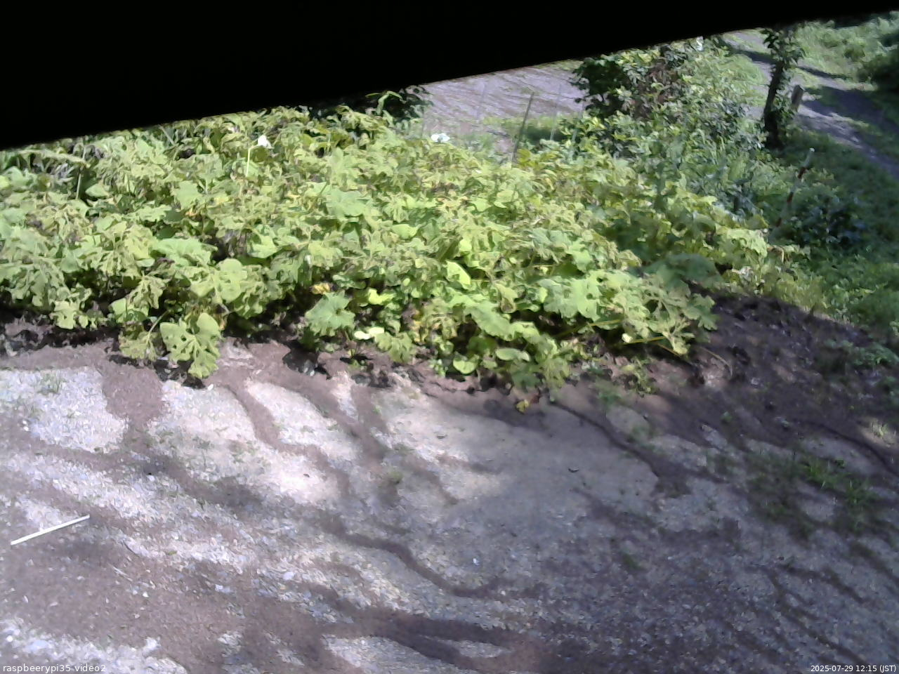 長野県菅平高原 ゆたか山荘 駐車場 2025/07/29 12:15