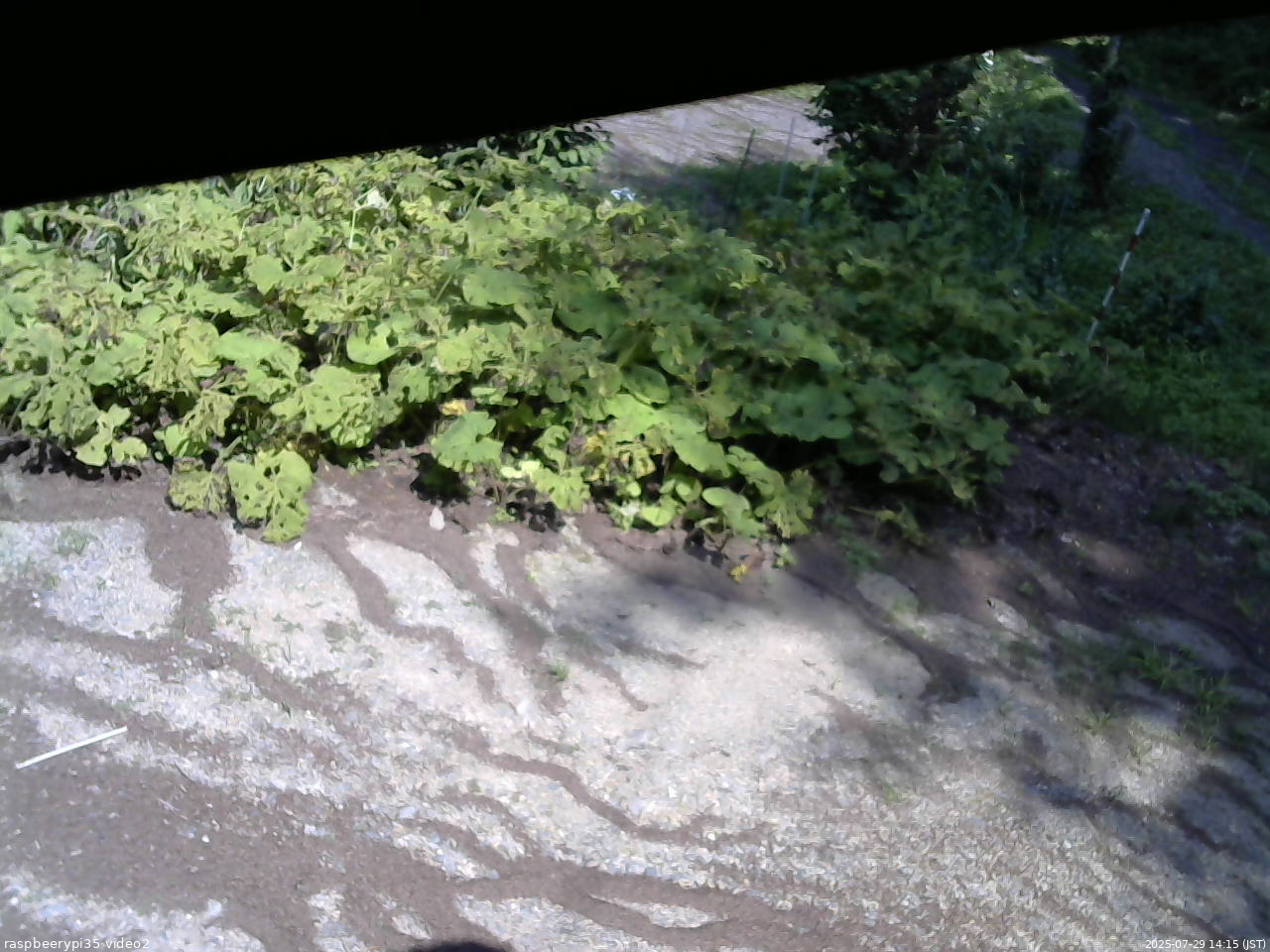長野県菅平高原 ゆたか山荘 駐車場 2025/07/29 14:15