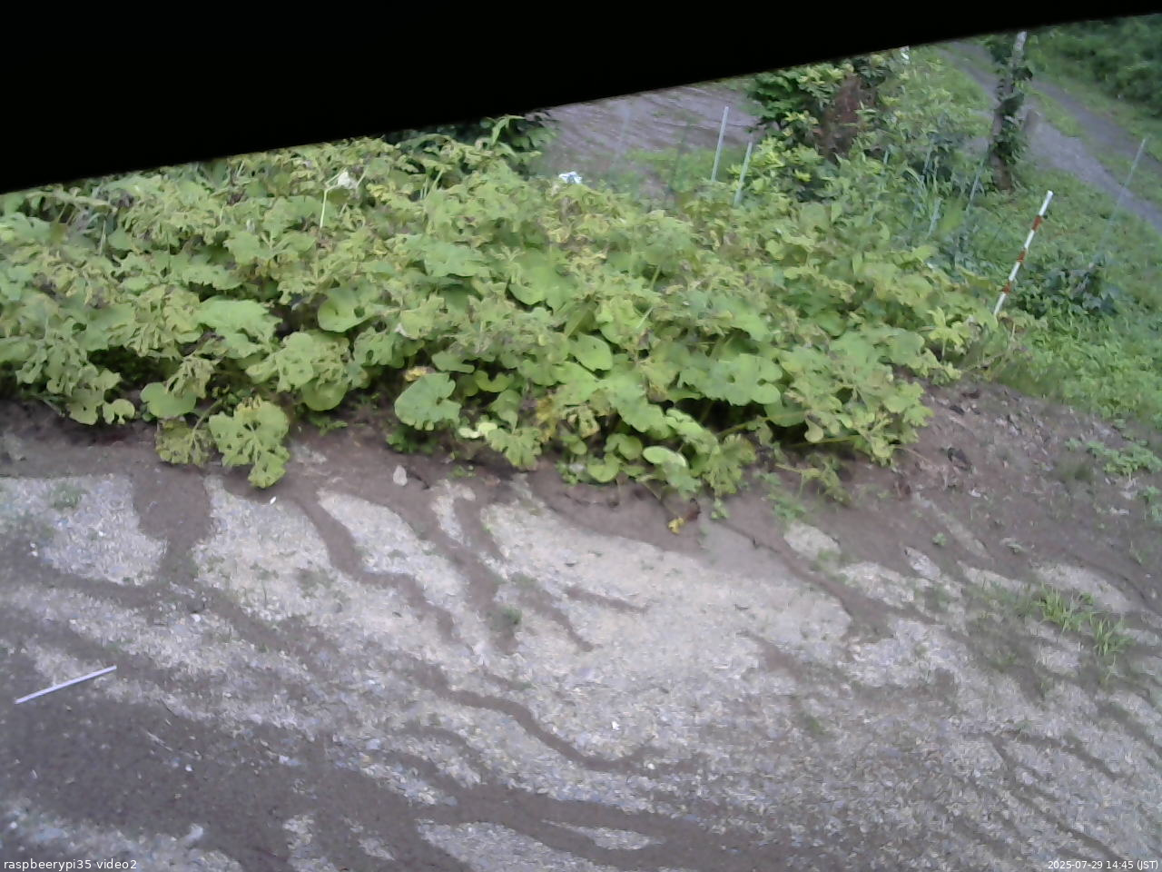 長野県菅平高原 ゆたか山荘 駐車場 2025/07/29 14:45