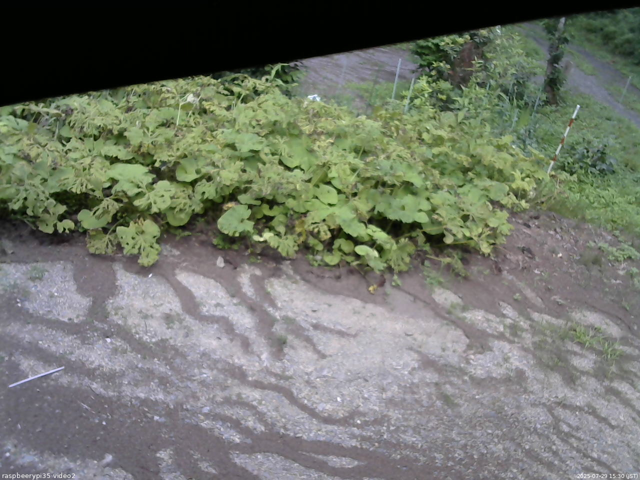 長野県菅平高原 ゆたか山荘 駐車場 2025/07/29 15:30