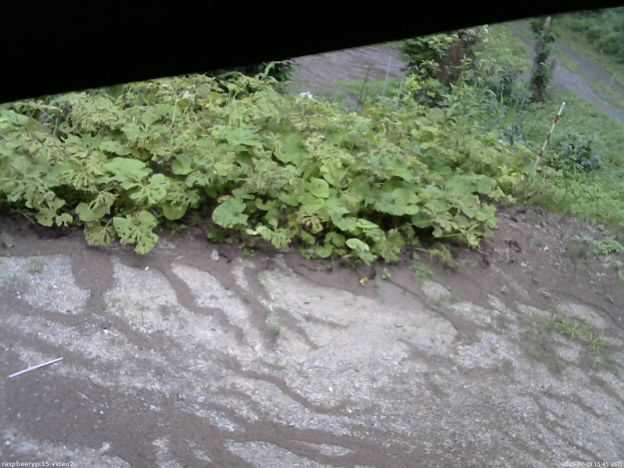 長野県菅平高原 ゆたか山荘 駐車場 2025/07/29 15:45