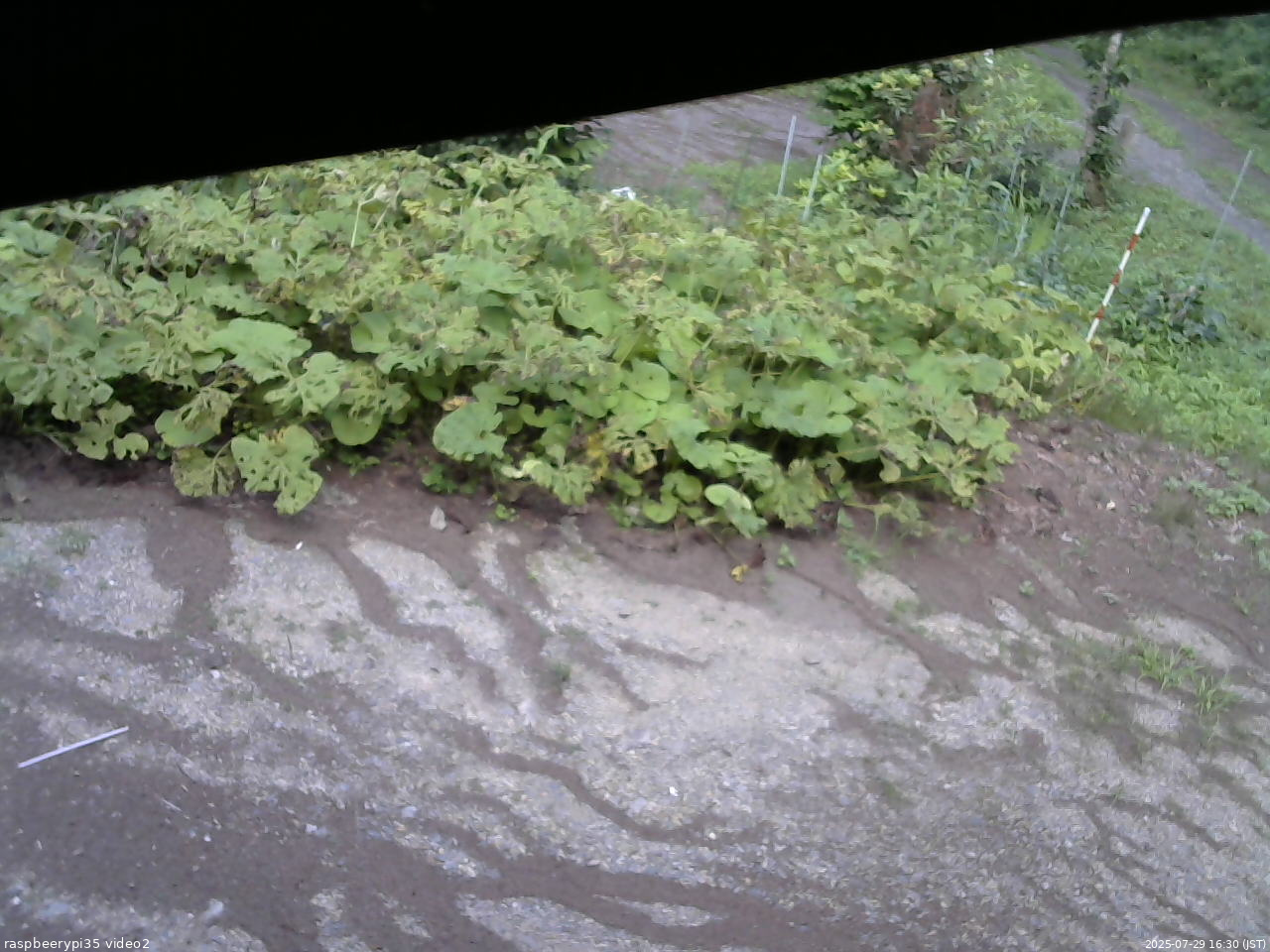 長野県菅平高原 ゆたか山荘 駐車場 2025/07/29 16:30
