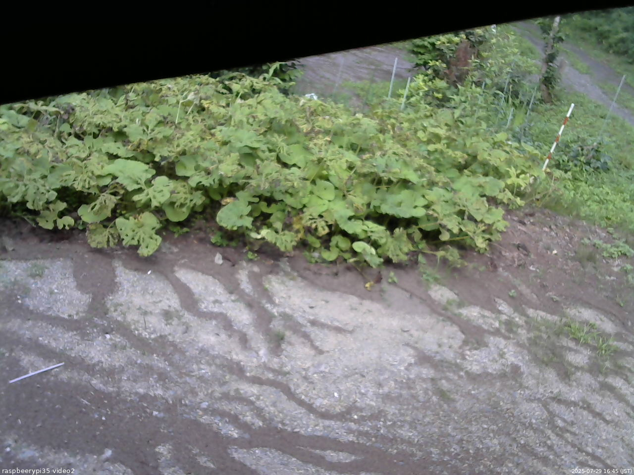 長野県菅平高原 ゆたか山荘 駐車場 2025/07/29 16:45