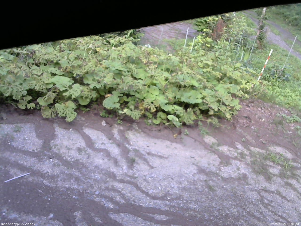 長野県菅平高原 ゆたか山荘 駐車場 2025/07/29 17:00