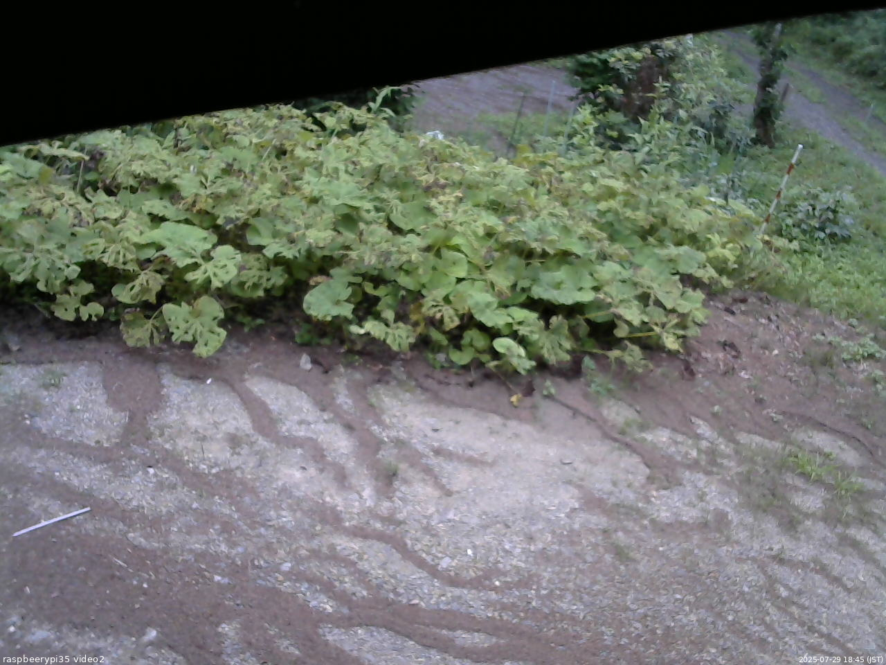 長野県菅平高原 ゆたか山荘 駐車場 2025/07/29 18:45